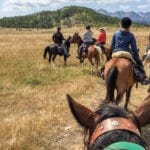 Your fellow riders can offer a host of horse riding tips