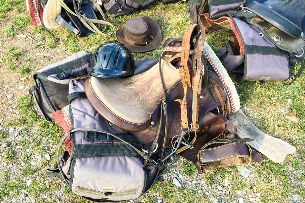 Horse riding tips: Familiarise yourself with the equipment