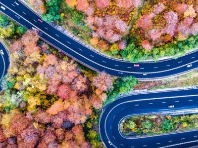 a remote landscape of pink forest