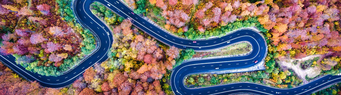 a remote landscape of pink forest