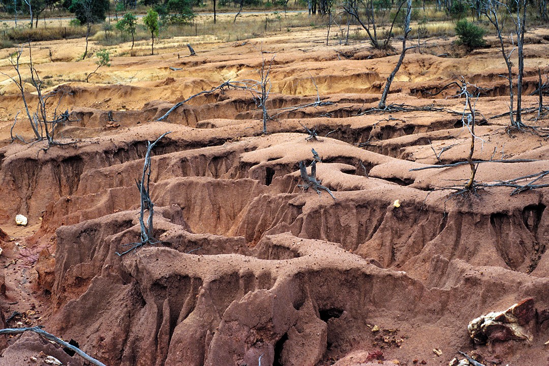 Hottestplaces on earth CSIRO queensland