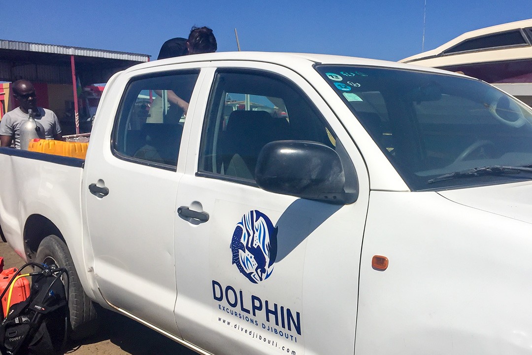 Dolphin Excursions arranged a last-minute dive in Djibouti
