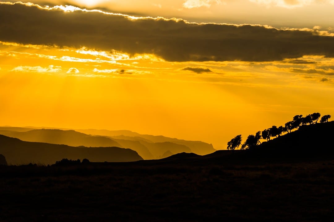 Simien Mountains trek gich campsite