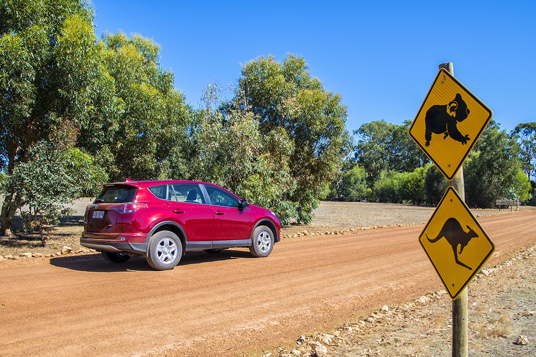 Great Ocean Road attractions Hertz car hire