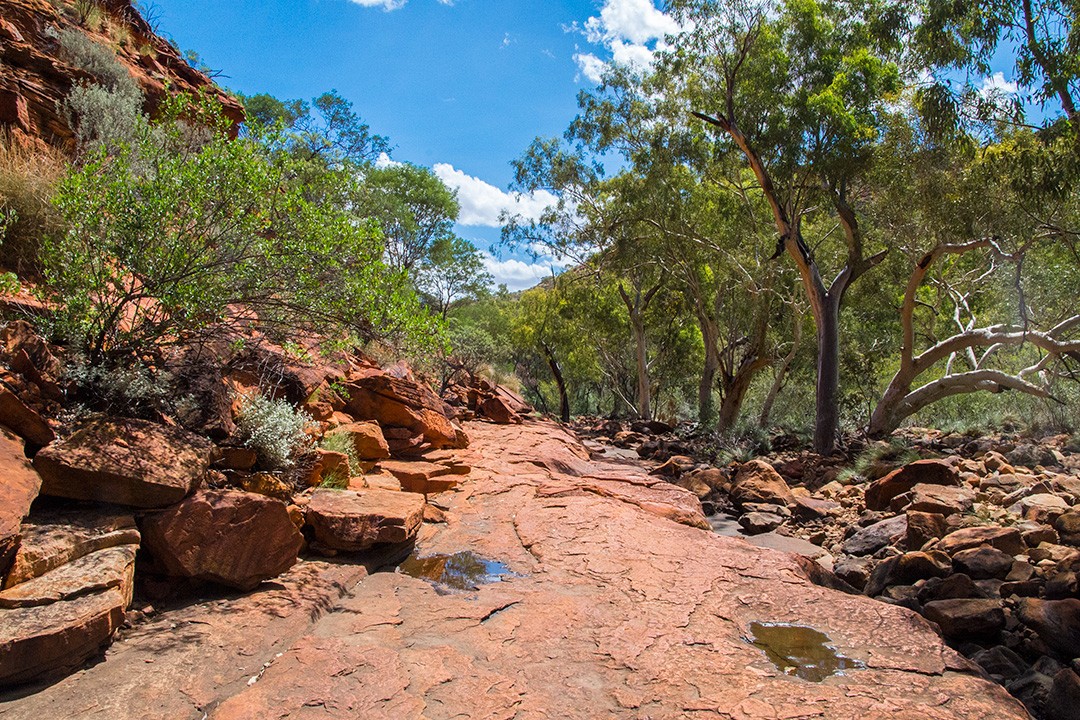 Trails around Kings Canyon were closed due to heat during our Uluru rock tour