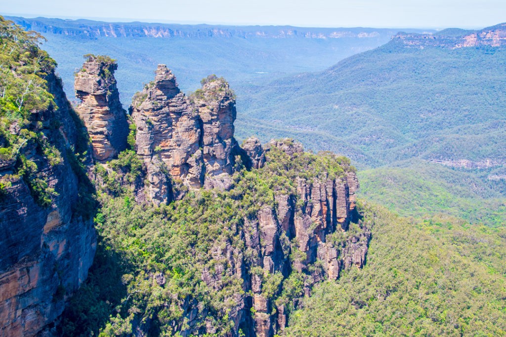 grootste regenwouden in de wereld blue mountains