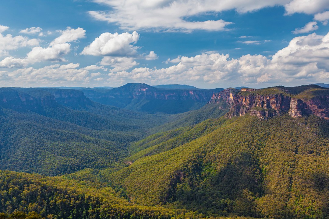 overnight trek blue mountains