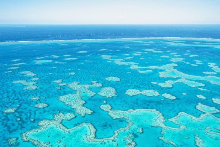 20 interesting facts about the Great Barrier Reef Atlas & Boots 20 interesting facts about the Great Barrier Reef Atlas & Boots
