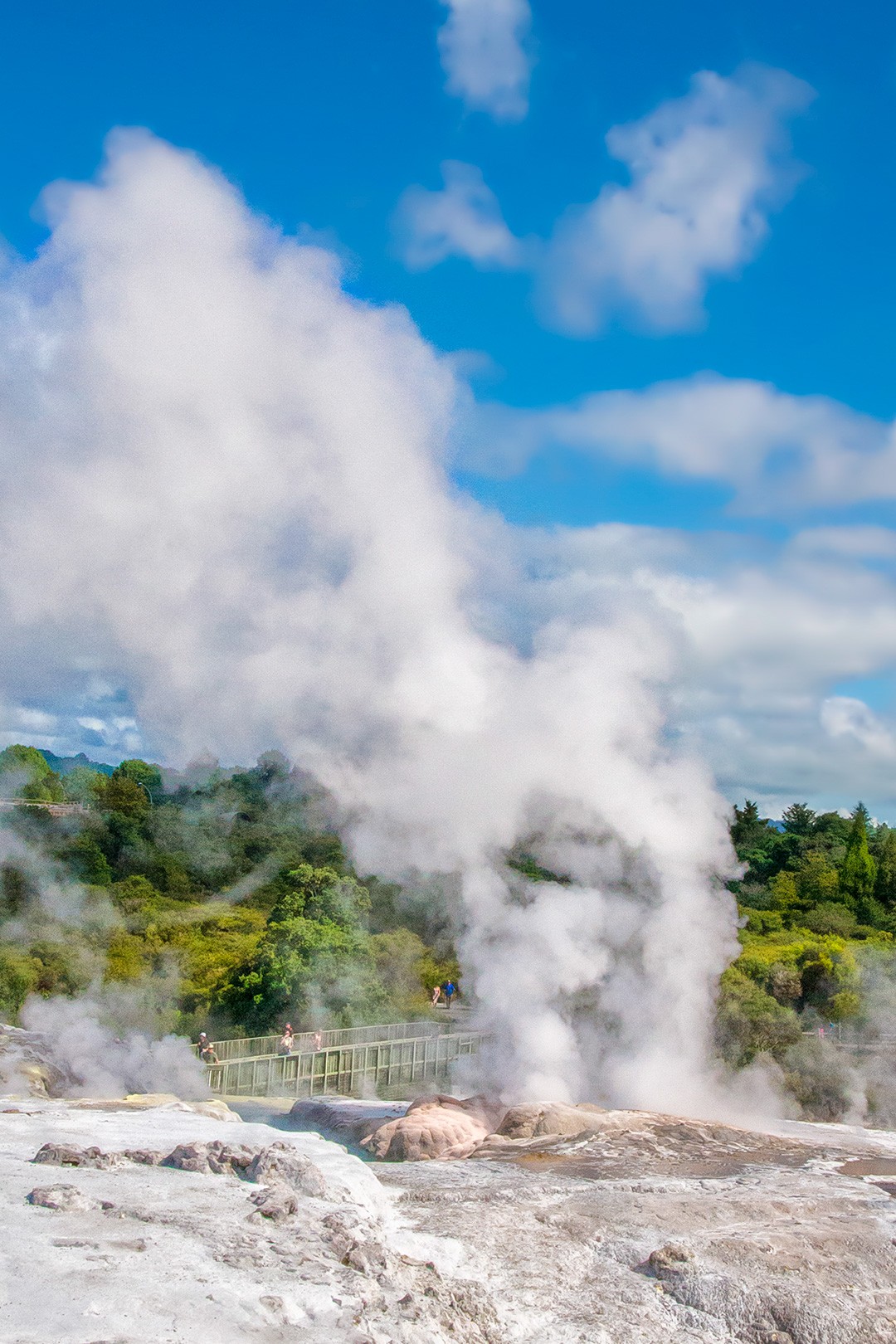 rotorua geyser tour