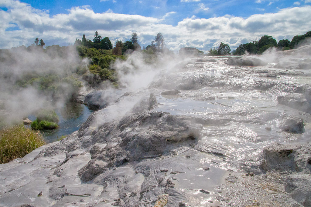 steamy rotorua geysers in te puia