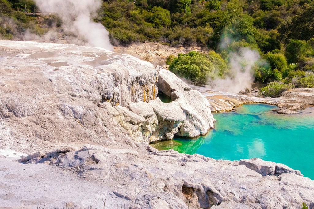 rotorua geysers steaming in te puia