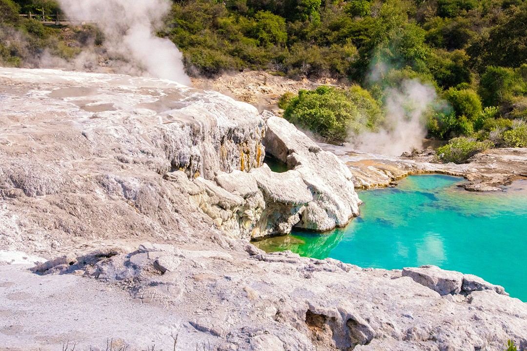 rotorua geyser tour