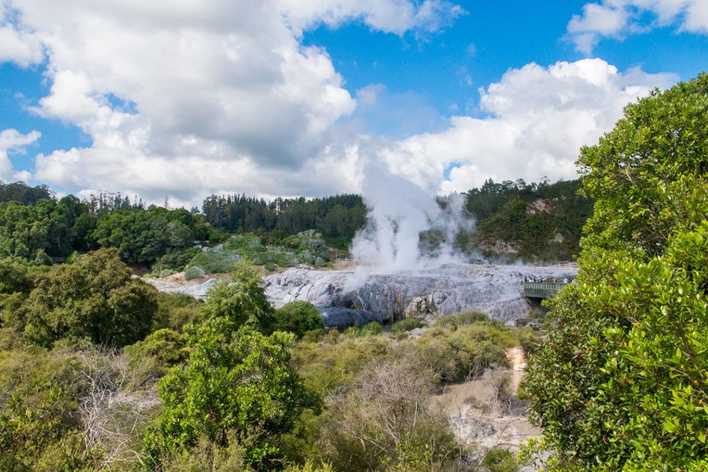 rotorua geysers in te puia