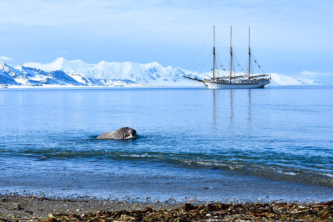 Eco-friendly wildlife tours norway