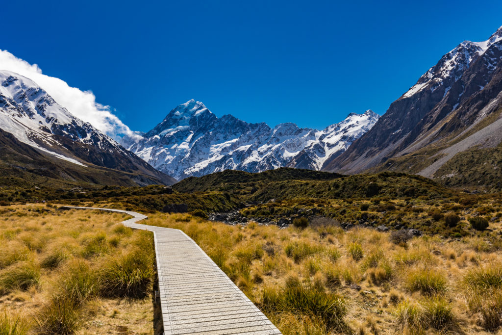 A boardwalk running through hooker valley