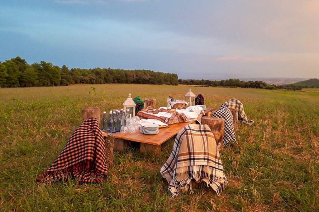 Picnic at Desconnexions