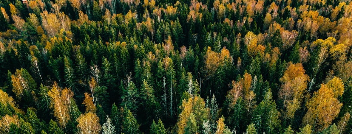 long reads on outdoor survival