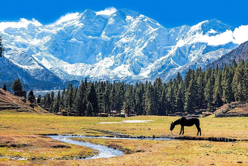 Nanga Parbat in one of the best long reads on outdoor survival