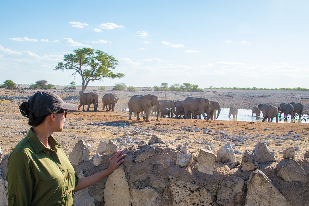 safari etosha nationalpark buchen