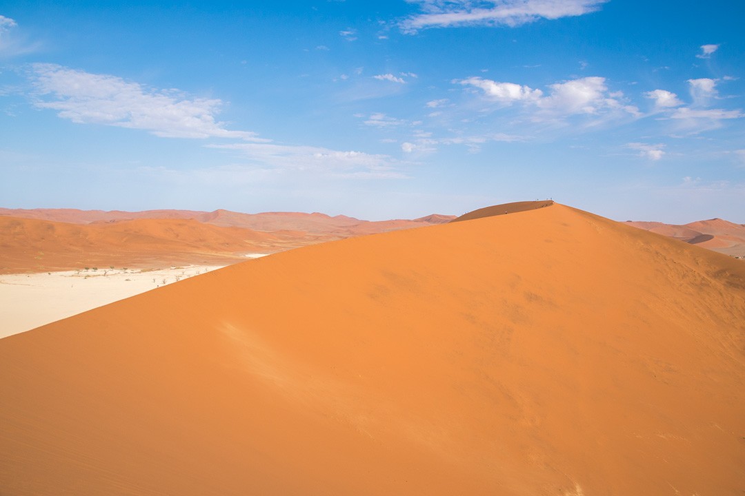The 325m sand dune of Big Daddy at Sossusvlei
