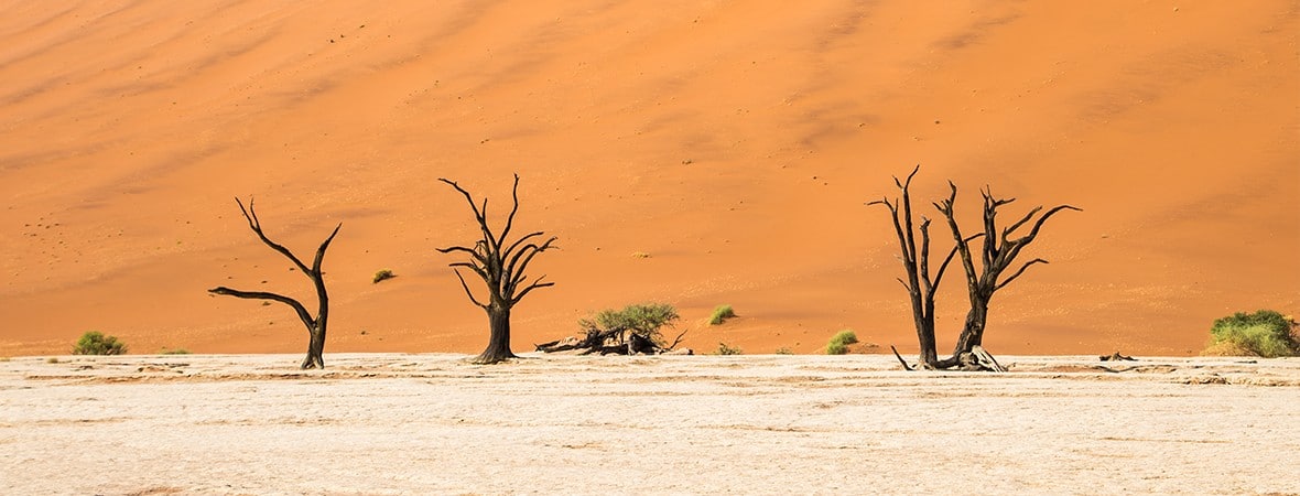 tips for visiting Sossusvlei in Namibia-feat-3