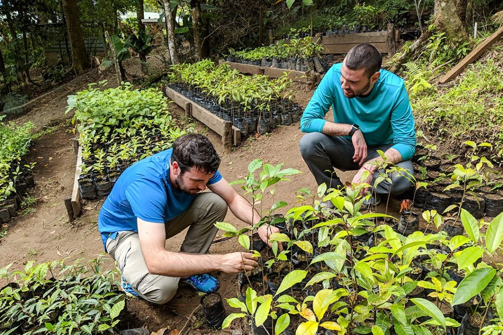 Planting trees at Monteverde Institute on our National Geographic Expedition to Costa Rica