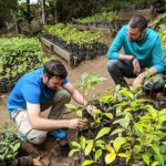 Monteverde institute planting trees 9