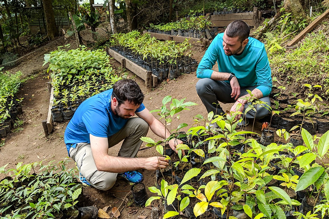 Monteverde institute planting trees 9