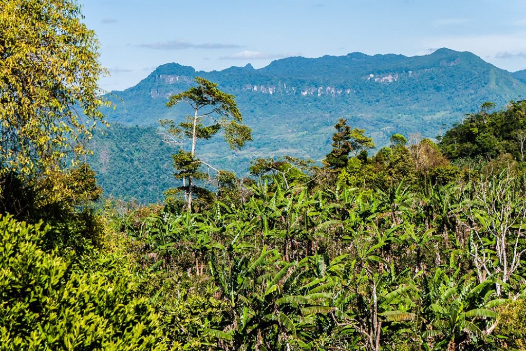 The Bosawás Biosphere Reserve in Nicaragua