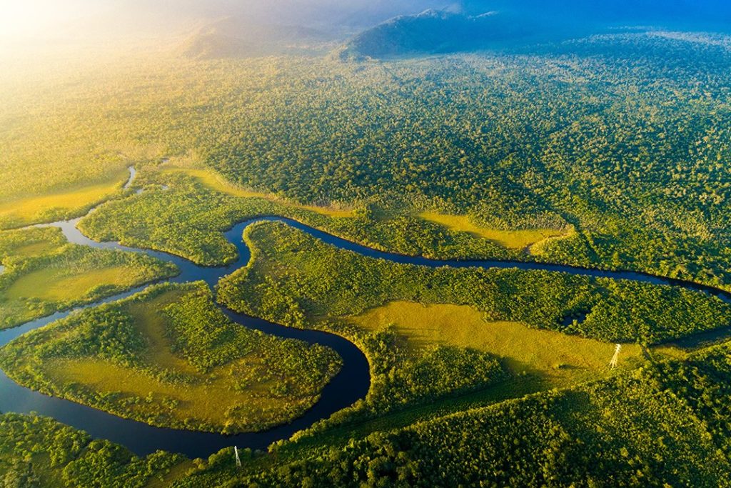 le più grandi foreste pluviali del mondo Amazzonia