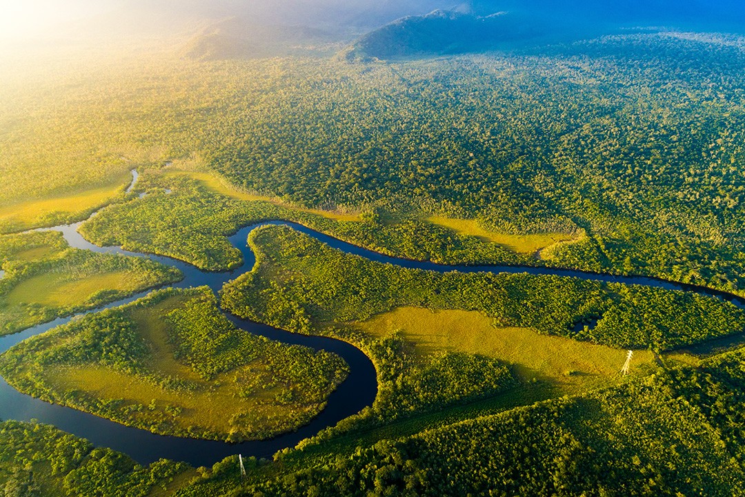 largest rainforests in the world amazon