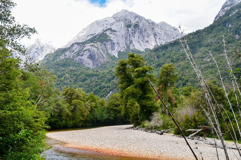 più grande foresta pluviale del mondo cile