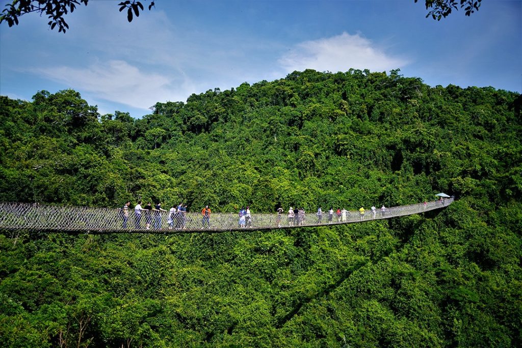 Der Regenwald auf der Insel Hainan, China