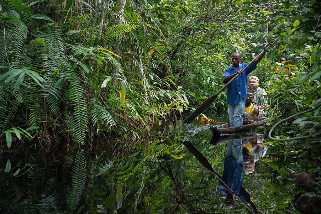 largest rainforests in the world congo