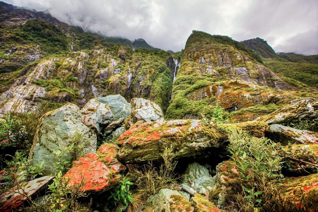 12 largest rainforests in the world Atlas & Boots