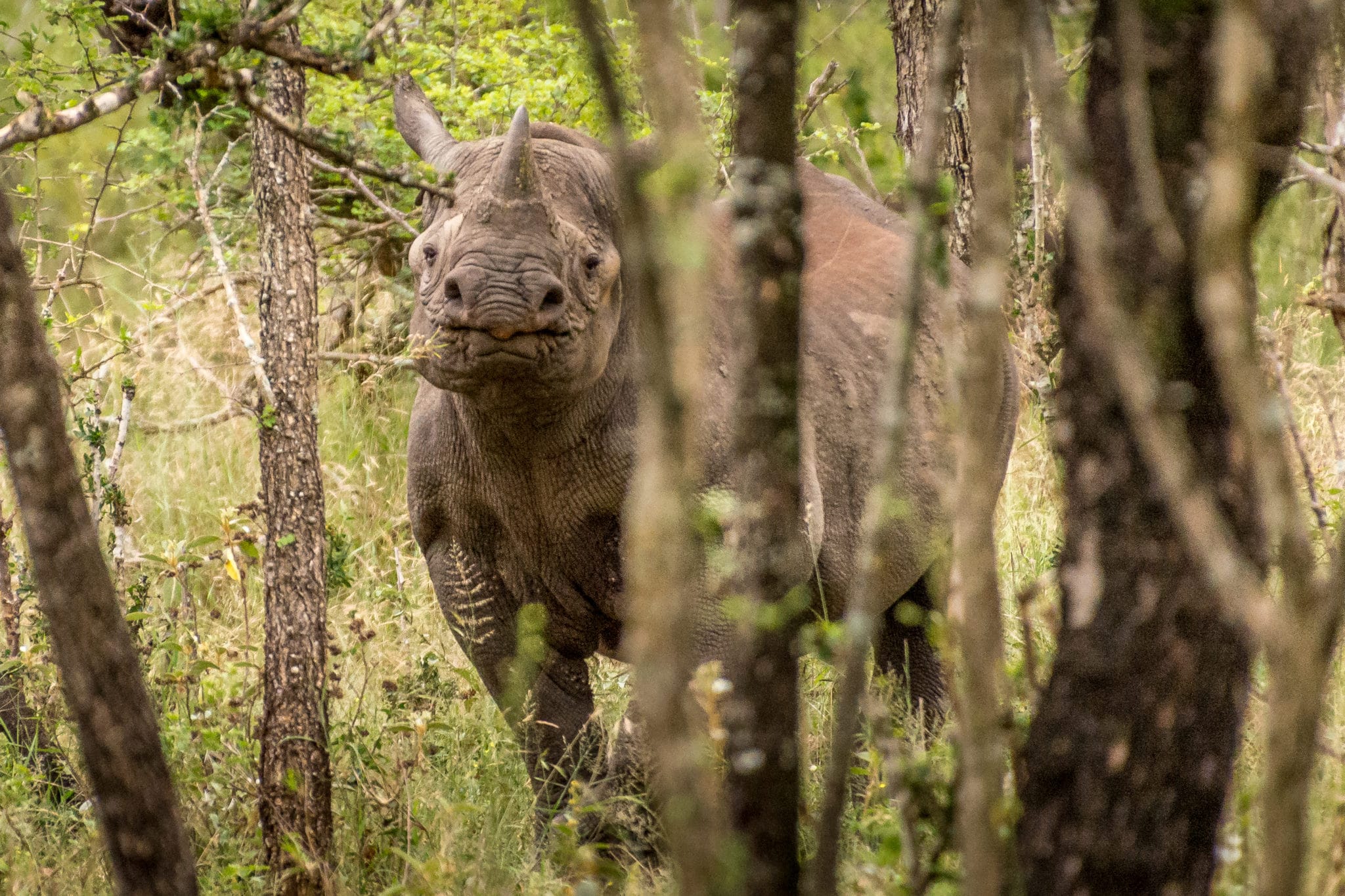 swaziland tourism