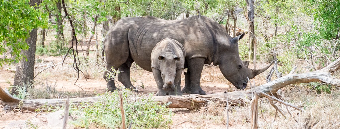 a mother and her baby seen while visiting eswatini