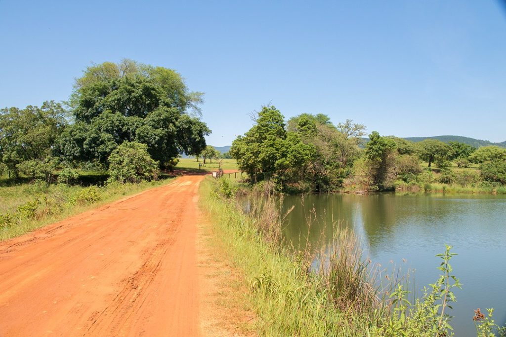 typical scenes when visiting eswatini