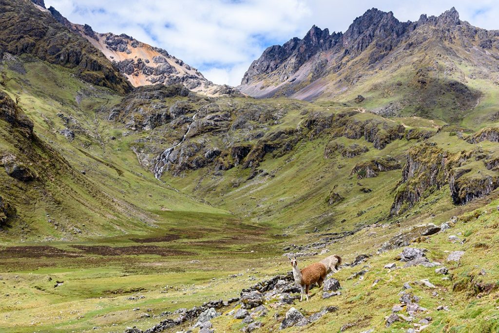 alternative treks to Machu Picchu Lares 1