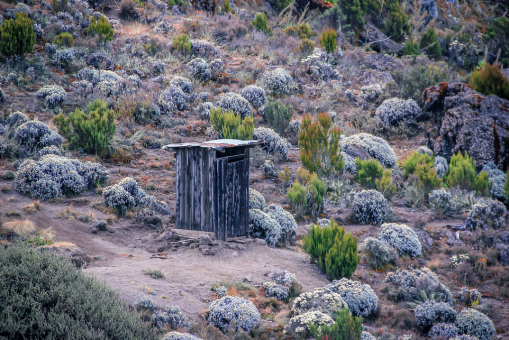 Sometimes, a bush is better than a shack