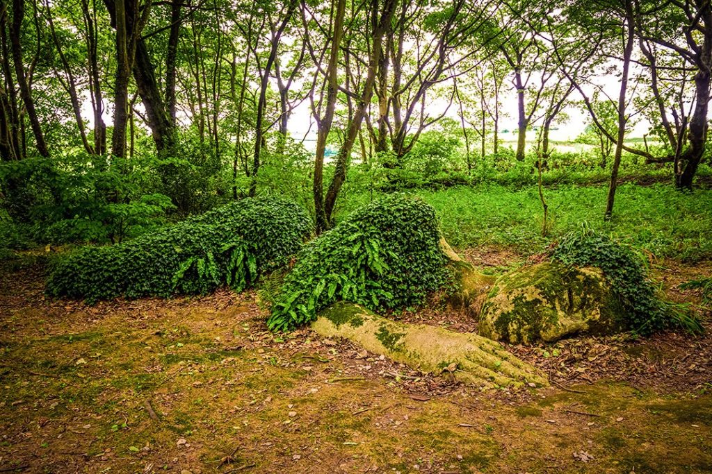 Heligan is one of the most unusual sights in Cornwall