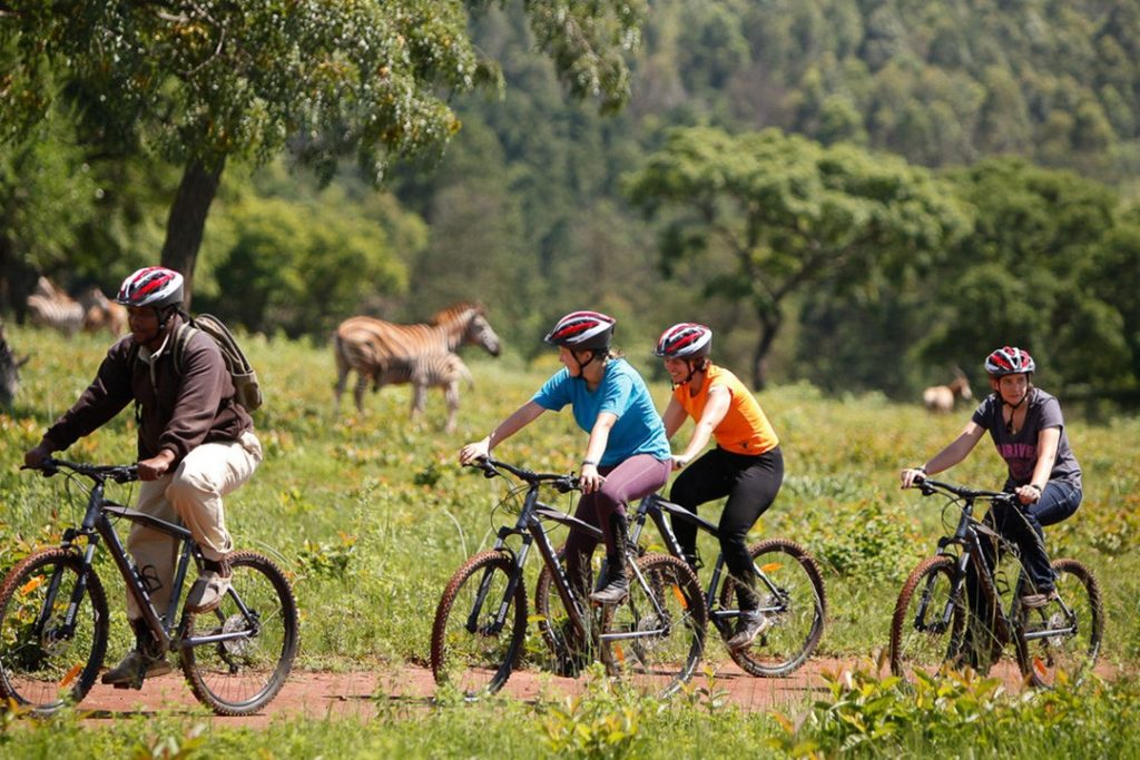 Cycling in Mlilwane Wildlife Sanctuary