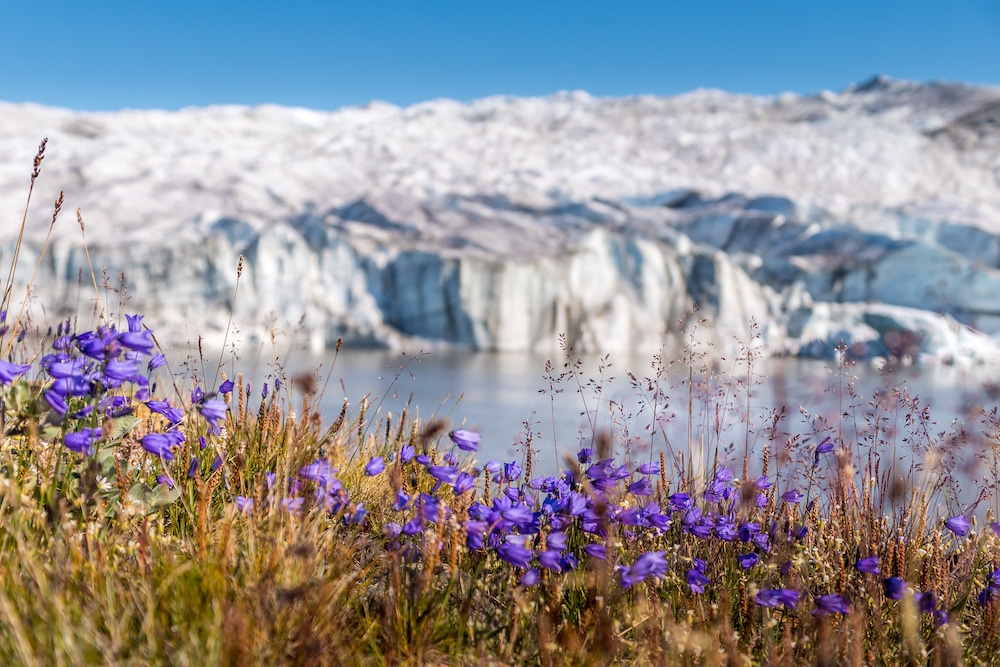 Russell Glacier lead image