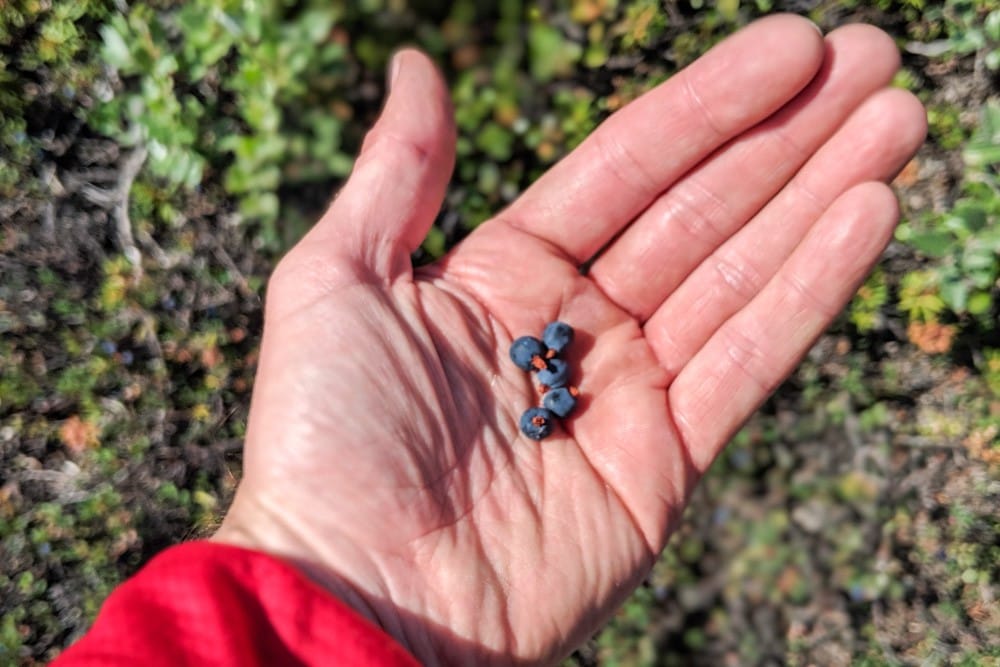 crowberry arctic circle trail packing list