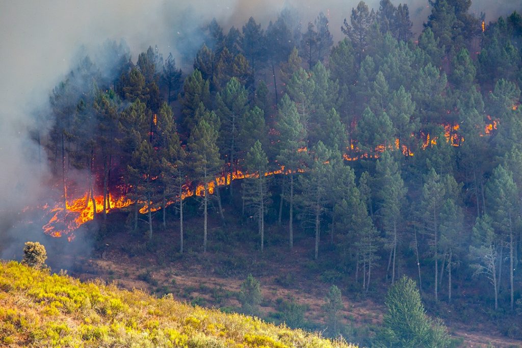 Fires spread faster uphill: how to escape a wildfire