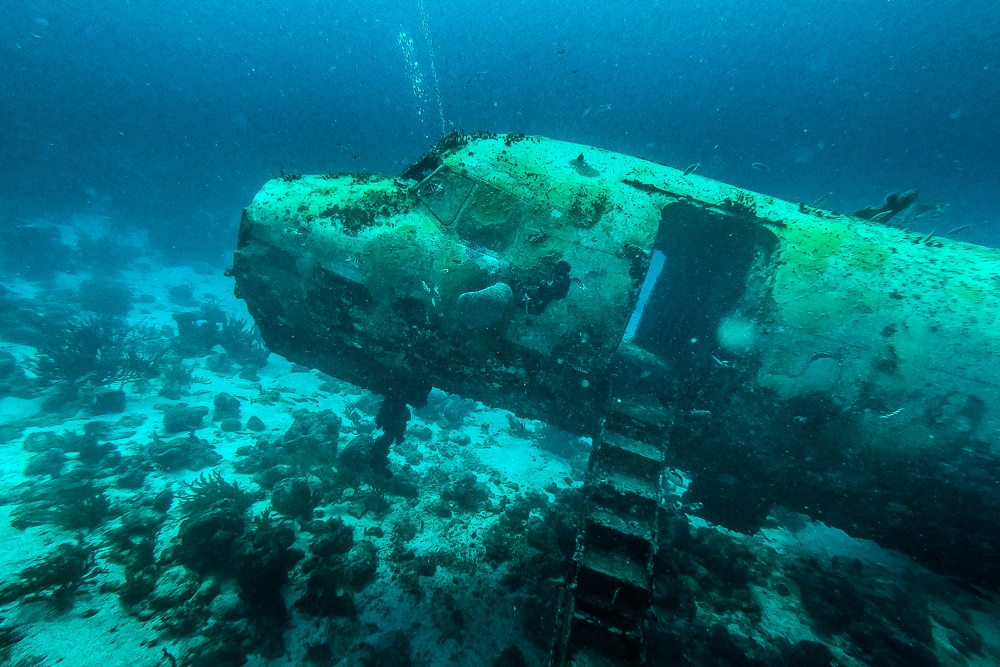 Diving the Sonesta plane wrecks in Aruba