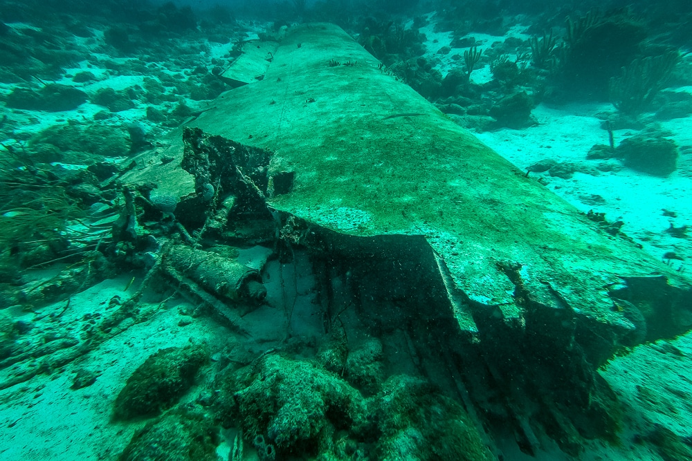 Diving the Sonesta plane wrecks in Aruba | Atlas & Boots