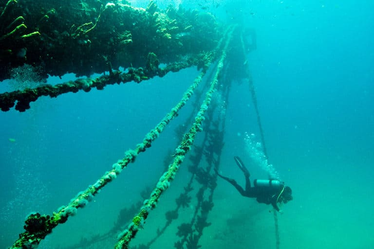 5 best dive sites in Aruba according to divemasters ﻿ Atlas & Boots