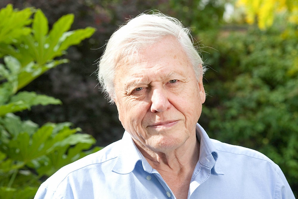 David Attenborough est l'un des écologistes les plus célèbres qui travaillent aujourd'hui.