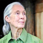 Jane Goodall is one of the most famous environmentalists of our time.